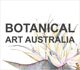Botanical-Art-Australia1