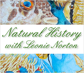 NaturalHistory-with-Leonie-Norton