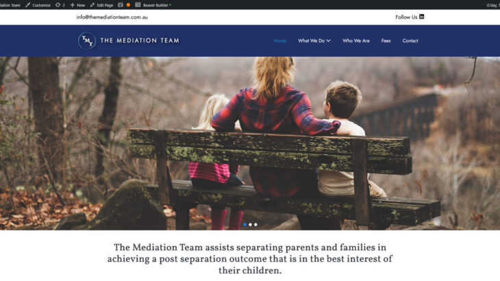 Website Launch: The Mediation Team